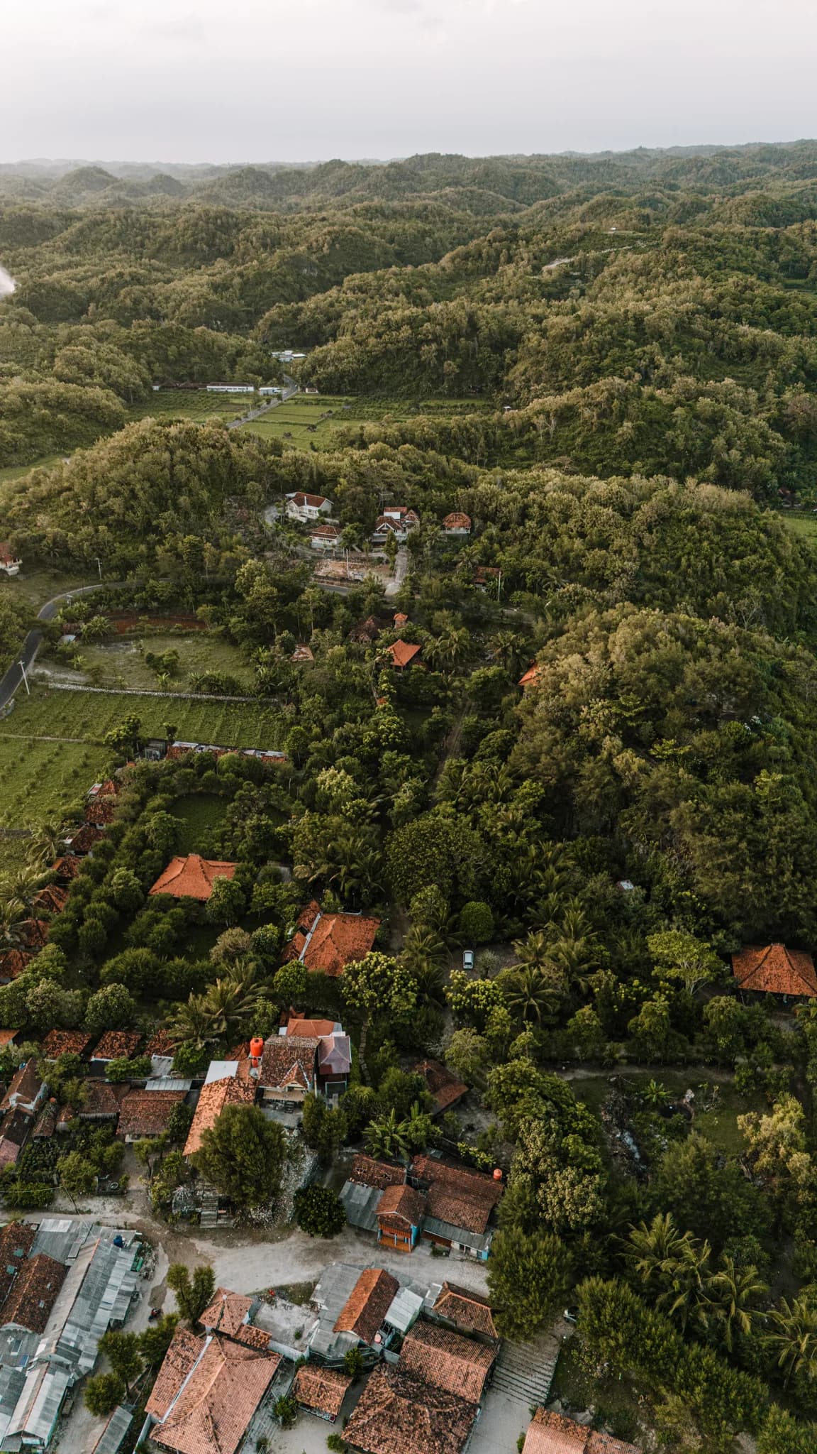 Potten inkoop ter plaatse in Azië